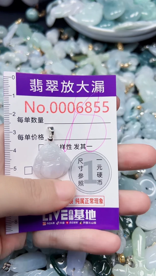 颈饰未镶嵌翡翠6855