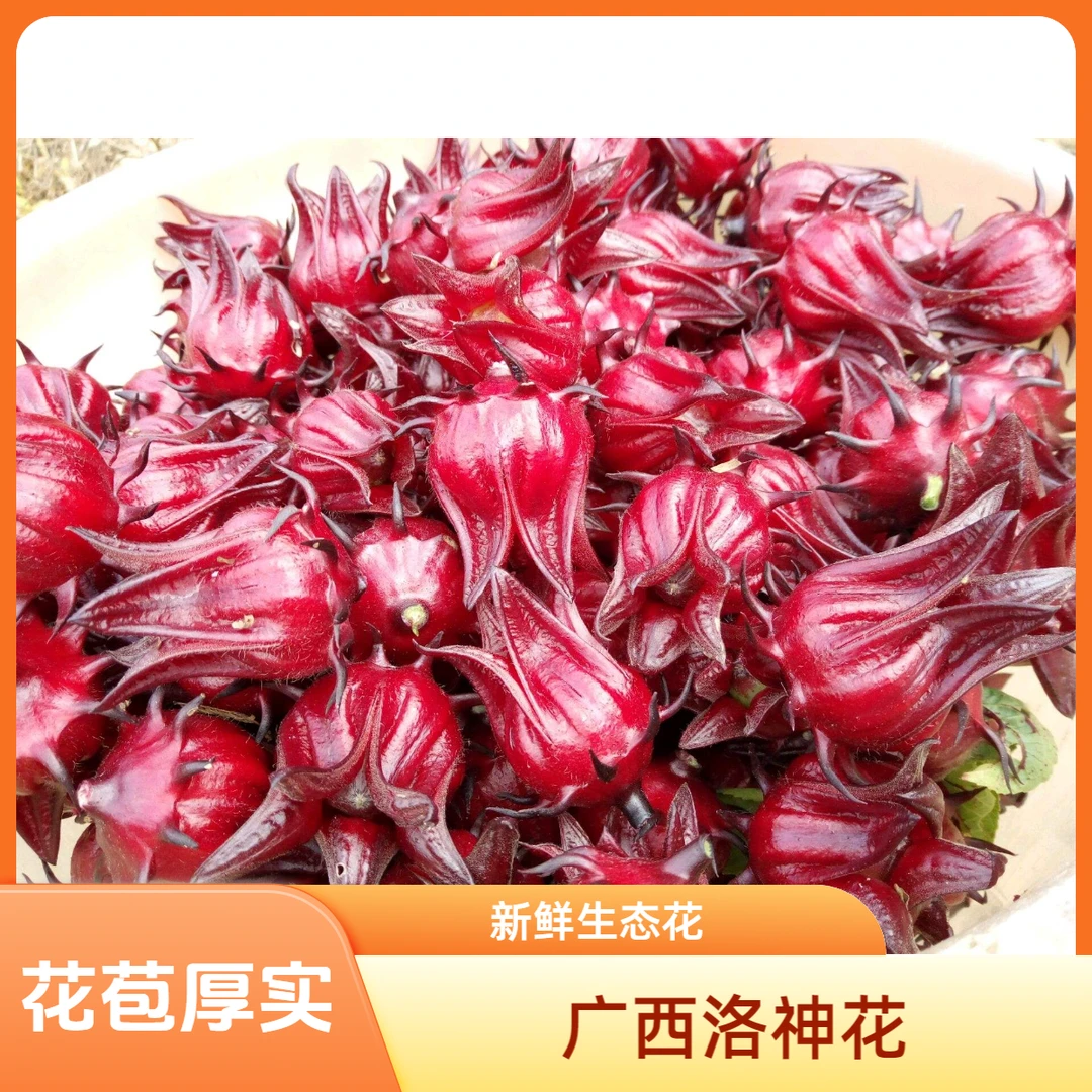 2025年新鲜洛神花红桃K玫瑰茄泡酒专用