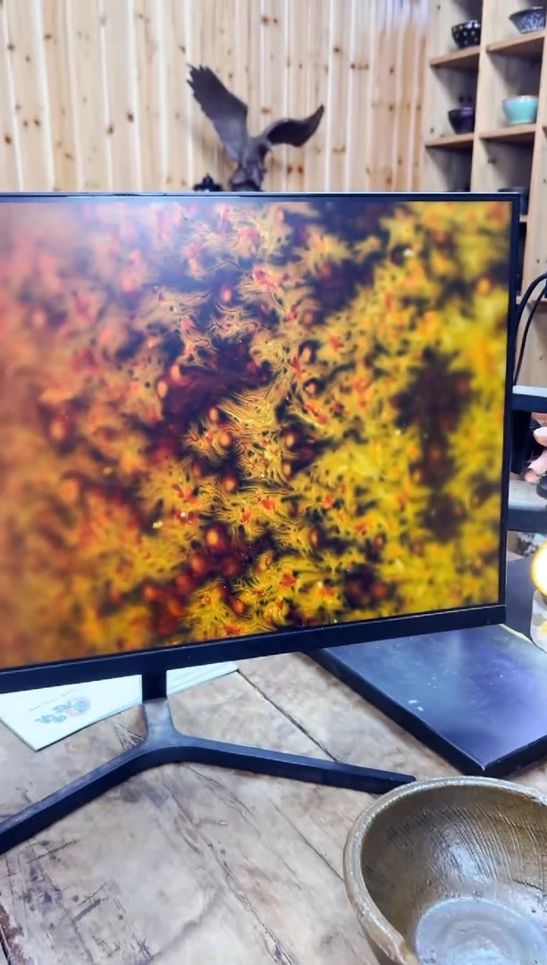 茶盏林后龙窑刘友良11