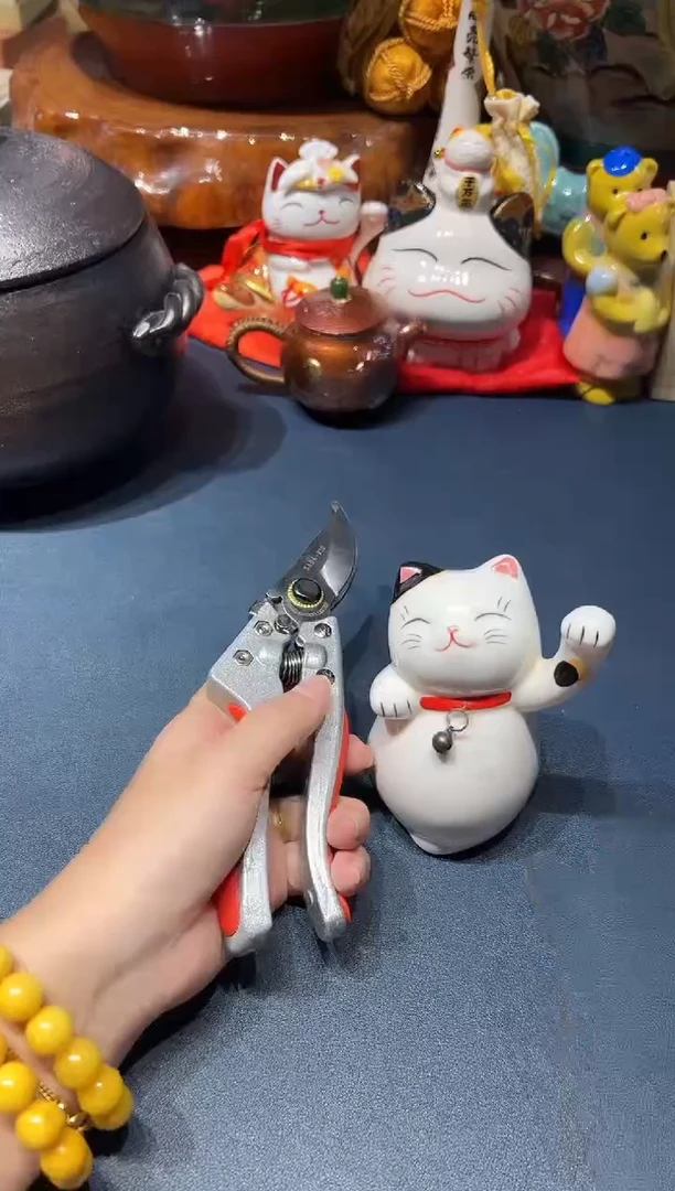 1012啊啊啊啊啊啊啊
