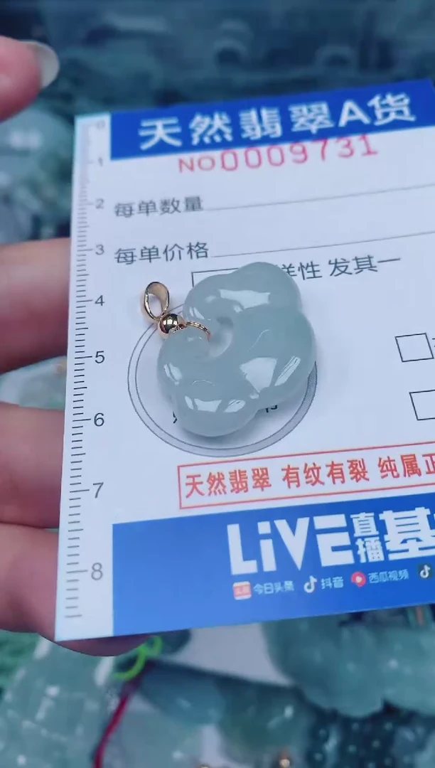 颈饰未镶嵌翡翠00009731