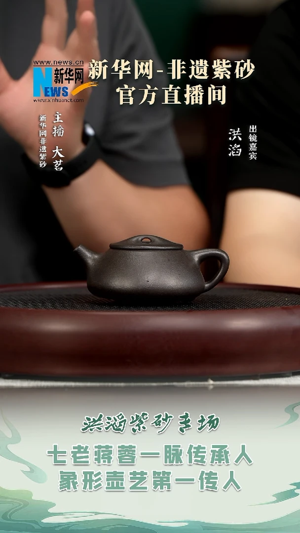 茶壶紫砂HT47 洪滔 石瓢铁星砂220c