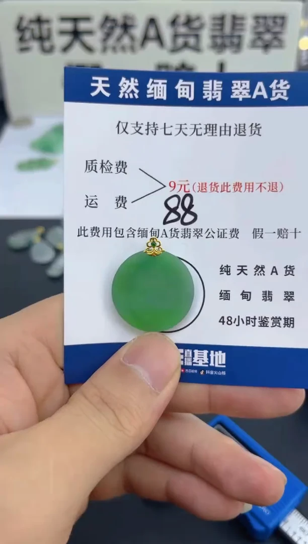 颈饰18K金镶嵌翡翠天然A货翡翠