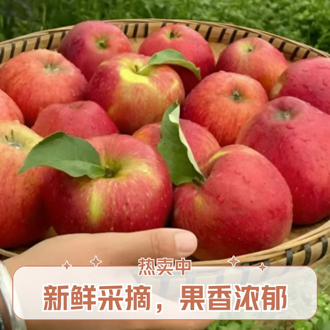 云南昭通糖心丑苹果红富士新鲜现摘当季水果脆甜多汁冰糖心2