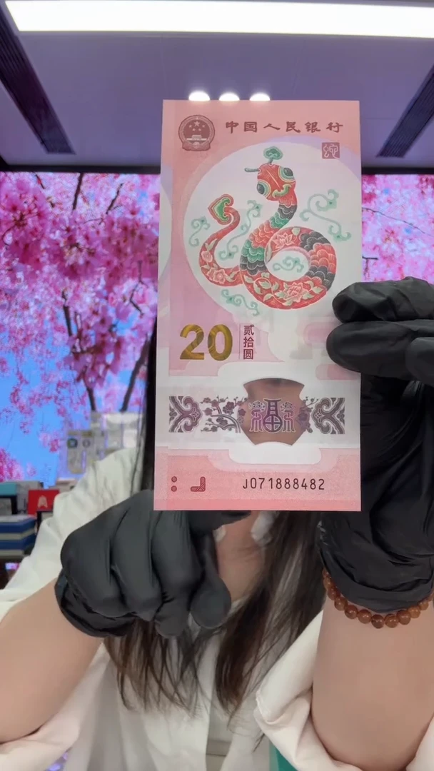 塑料蛇钞071888482