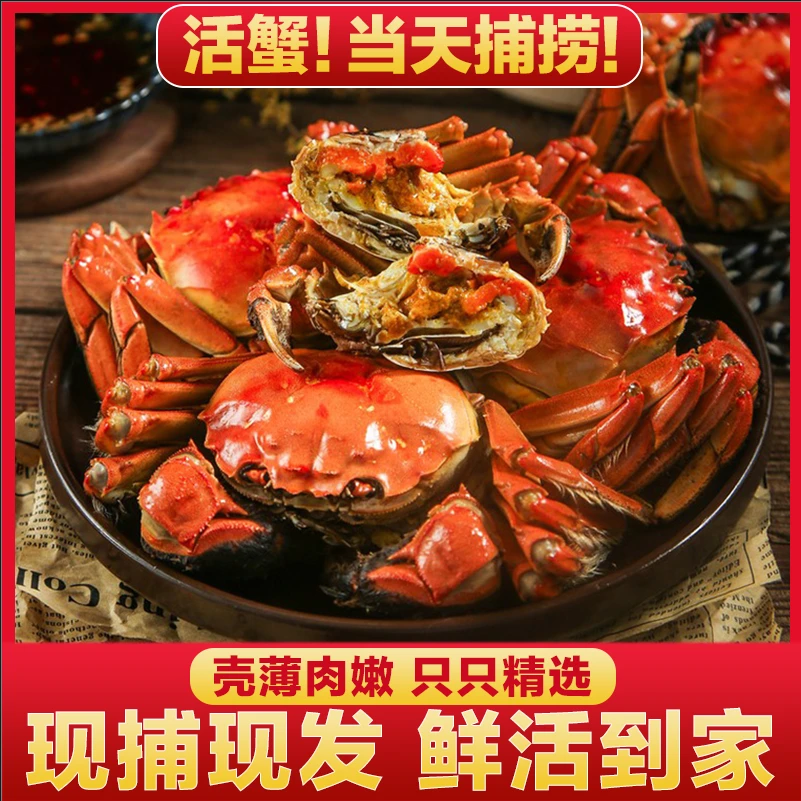 【活蟹】江苏大闸蟹精品全母3.1-2.8两 6只8只10只 红膏蟹顺丰包邮