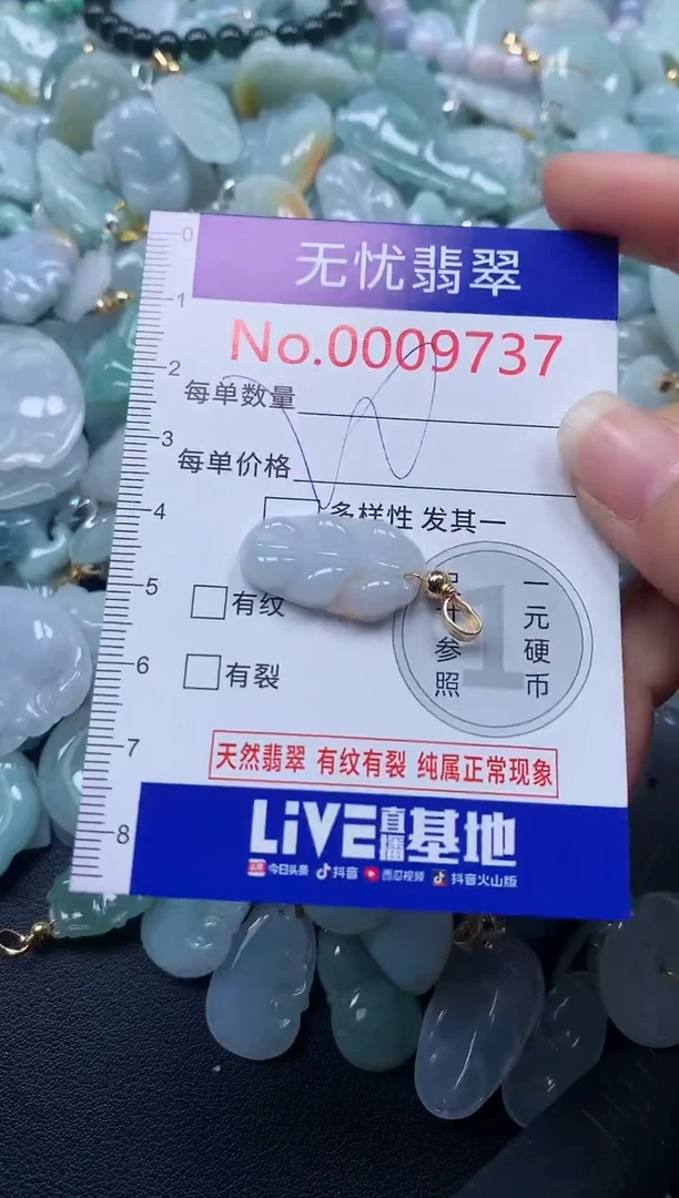 颈饰未镶嵌翡翠9737