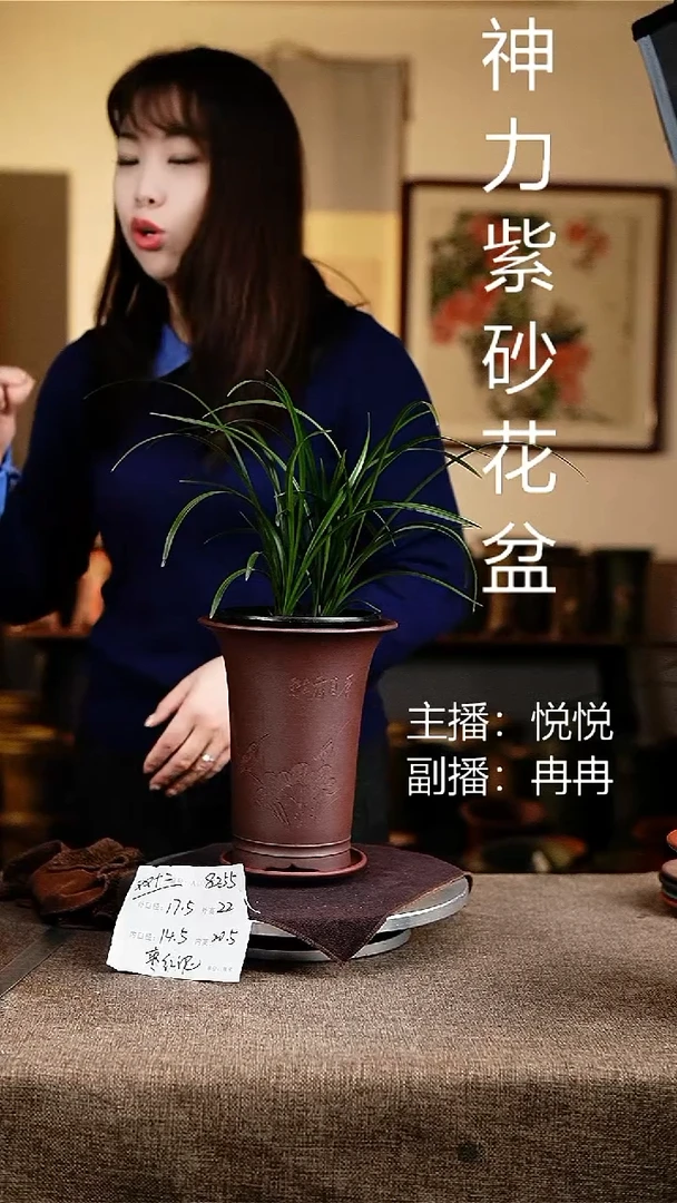 紫砂花盆花卉工艺8255+z