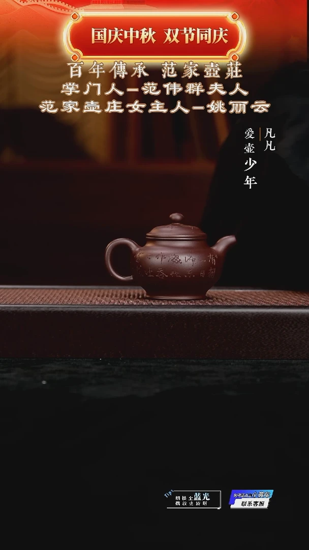 茶壶紫砂凡凡会客厅 紫砂壶02 掇只紫泥185cc