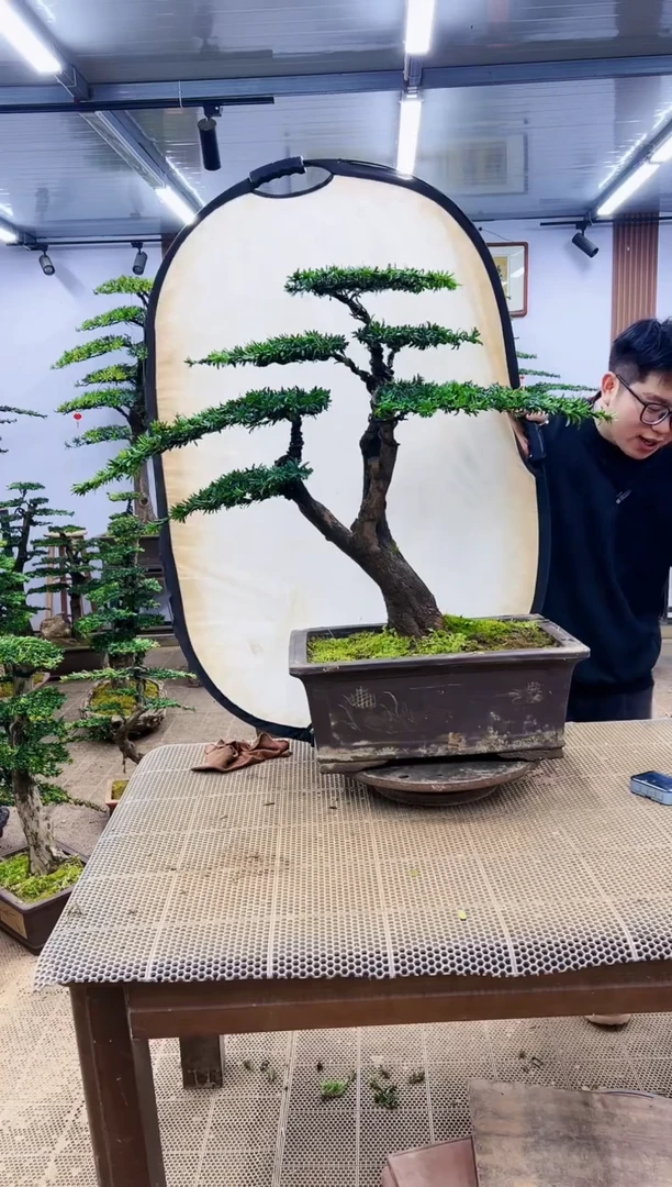 【闪购商品】一物一拍，所见即所得