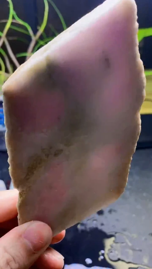 翡翠未镶嵌颈饰天然翡翠051