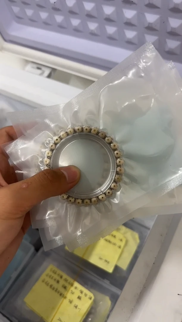 星月菩提手串凡*霸黄金瞳8*7 一物一图