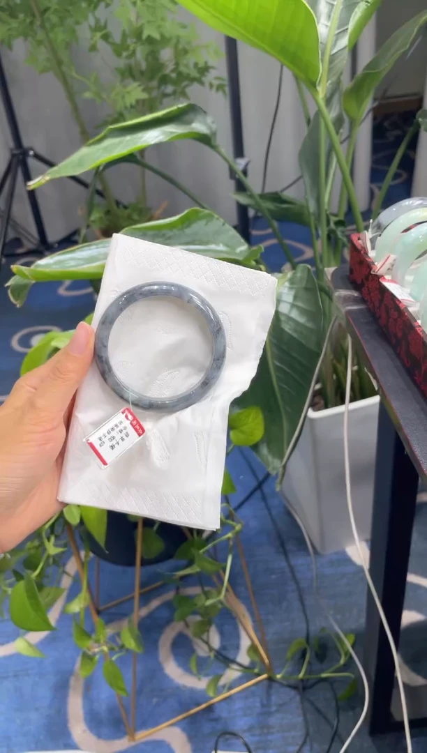 未镶嵌手镯翡翠4848