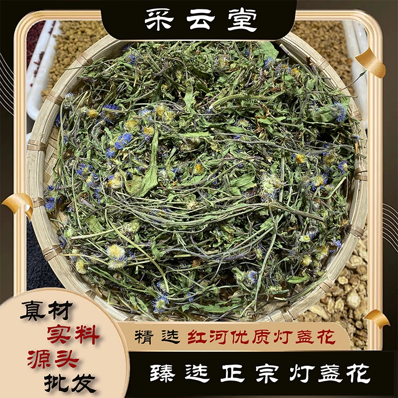 灯盏花 精选新货 红河灯盏细辛100g起购 另有益母草