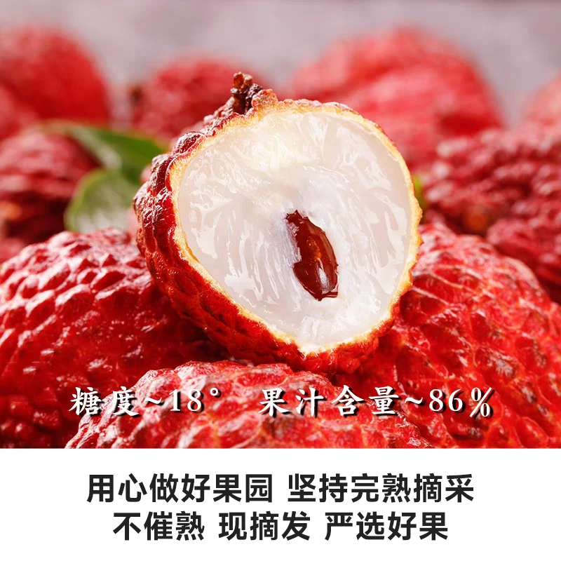 海南永兴火山口荔枝王现摘现发爆甜多汁空运发货