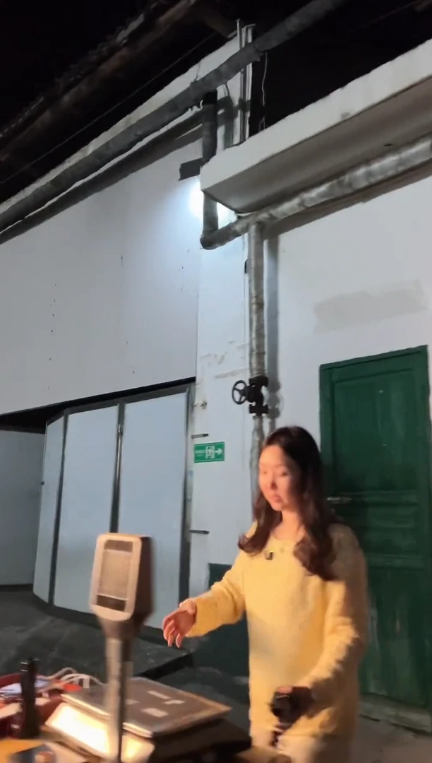 a****z高马二溪 老百两饼 80克