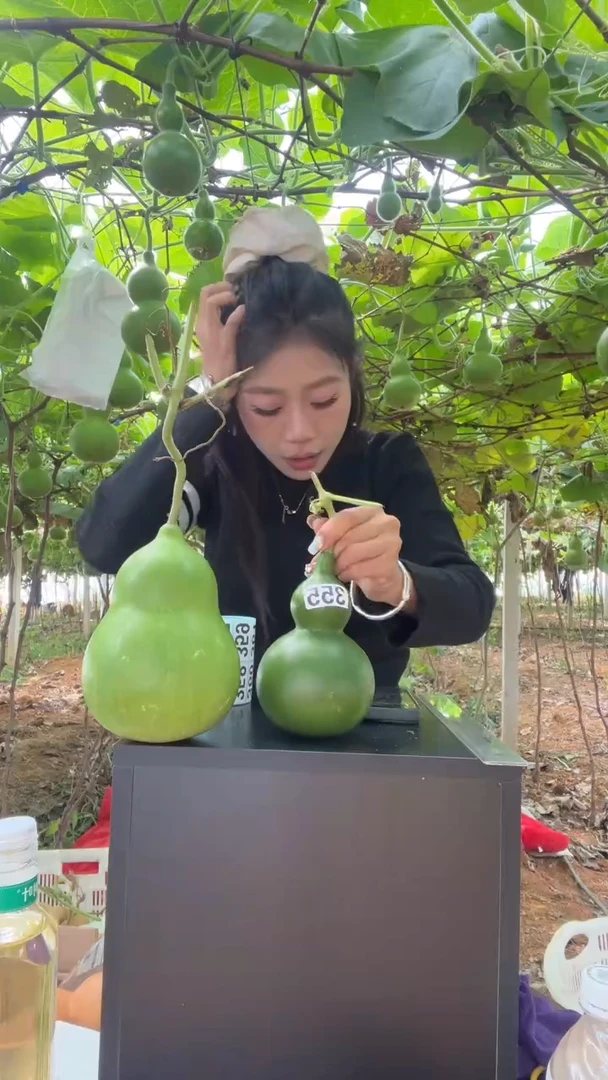 叫*355天然葫芦摆件 一物一拍龙头不保售后