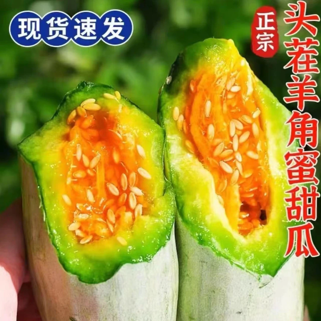 【现摘现发】山东头茬羊角蜜甜瓜新鲜水果脆甜多汁当季现摘香瓜蜜瓜