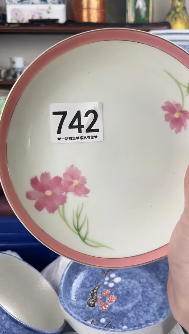瓷片742..............