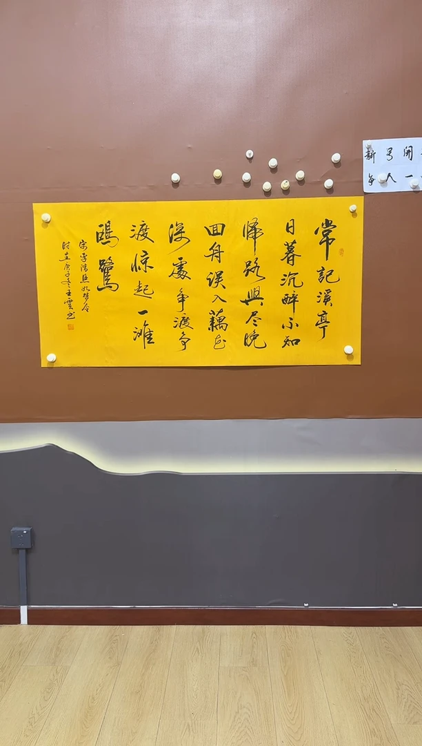 书法王云如梦令作品