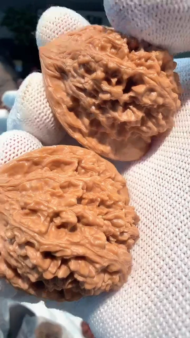 把件龙脊菩提012 满天星