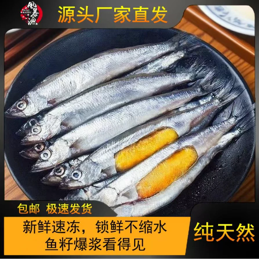 新鲜海捕满籽多春鱼新鲜多籽鱼速冻水产生鲜可用于烧烤油炸可商用
