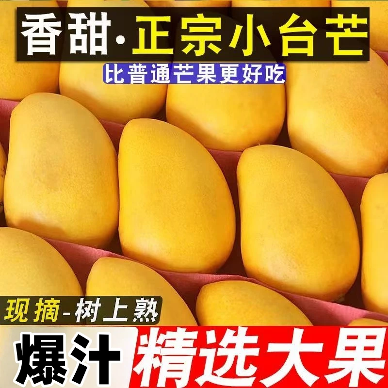 【助农补贴】云南高山小台农芒果当季新鲜水果整箱甜芒果核薄肉厚批