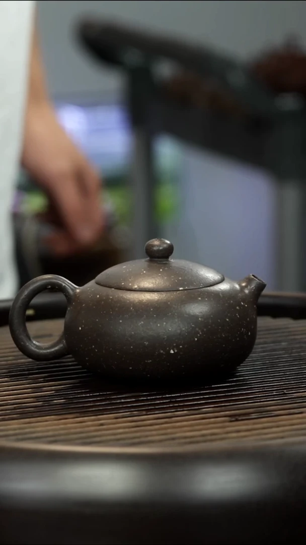 茶壶紫砂满天星 西施壶