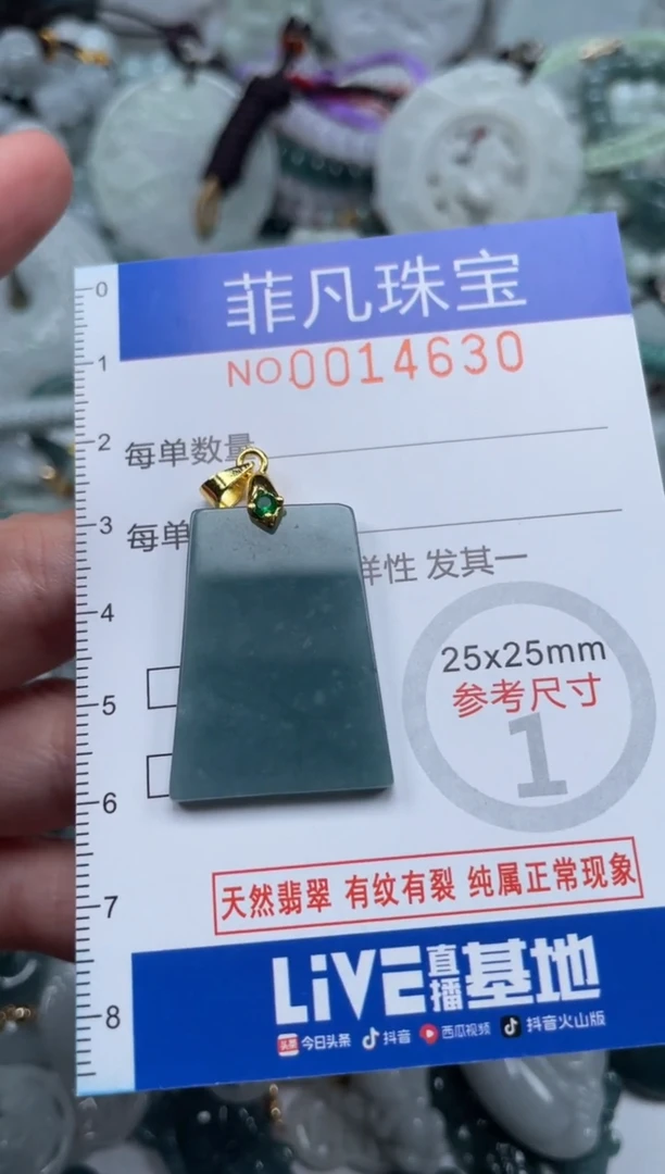 颈饰未镶嵌翡翠14630