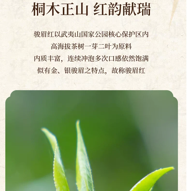 Z·骏眉红红茶-5g品鉴袋泡(宋风雅韵礼盒版·门店同款·正品保真！）