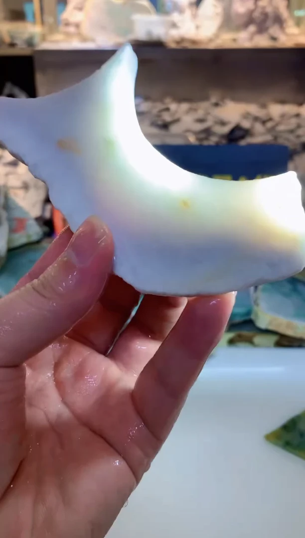 翡翠未镶嵌颈饰0朱0翡翠珠宝 295