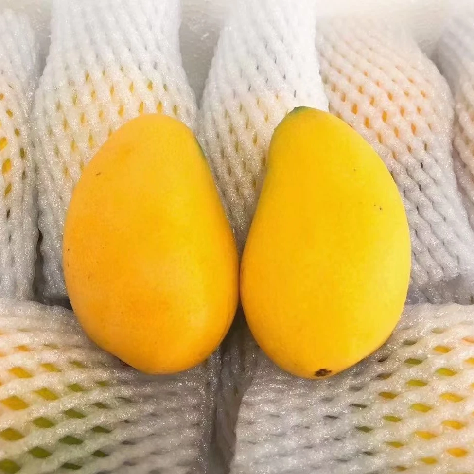 海南小台农芒果新鲜香甜多汁热带水果助农活动