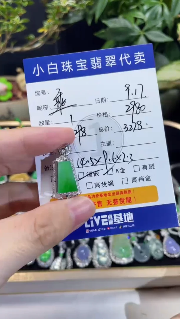 吊坠(不含链)18K金镶嵌翡翠乘***?吊坠