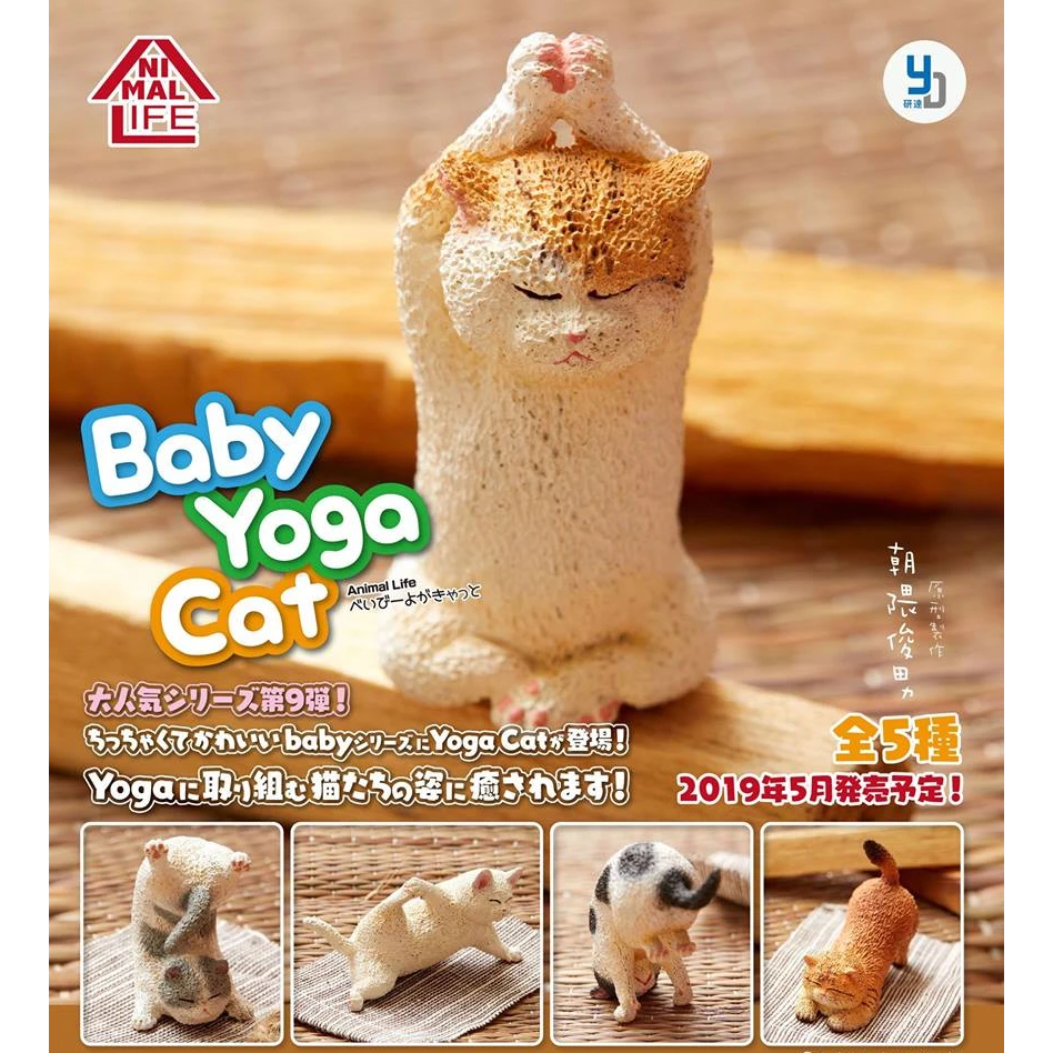 Yendar 日版盒蛋 Animal Life 瑜伽猫 baby Yoga Cat盒蛋