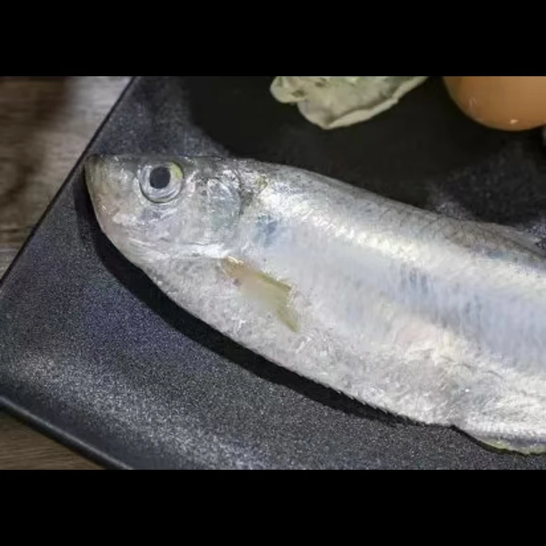 东海热气白鳞鱼~香鱼~到手4斤以上~冰鲜发货~顺丰包邮海鲜