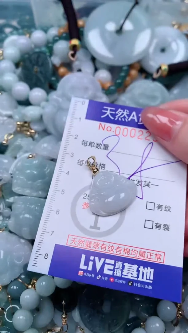 【闪购商品】翡翠颈饰未镶嵌00002293