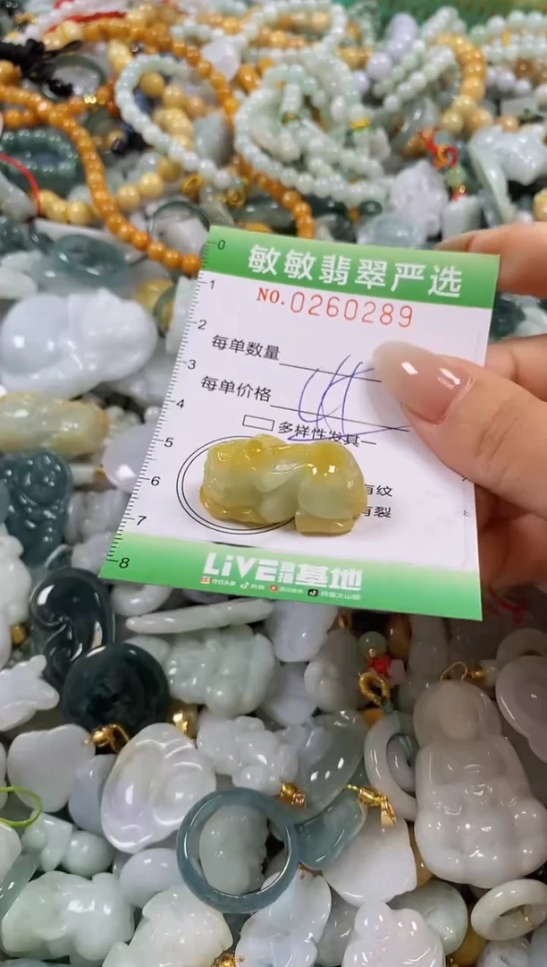 翡翠未镶嵌颈饰闪购0260289多样性发其一