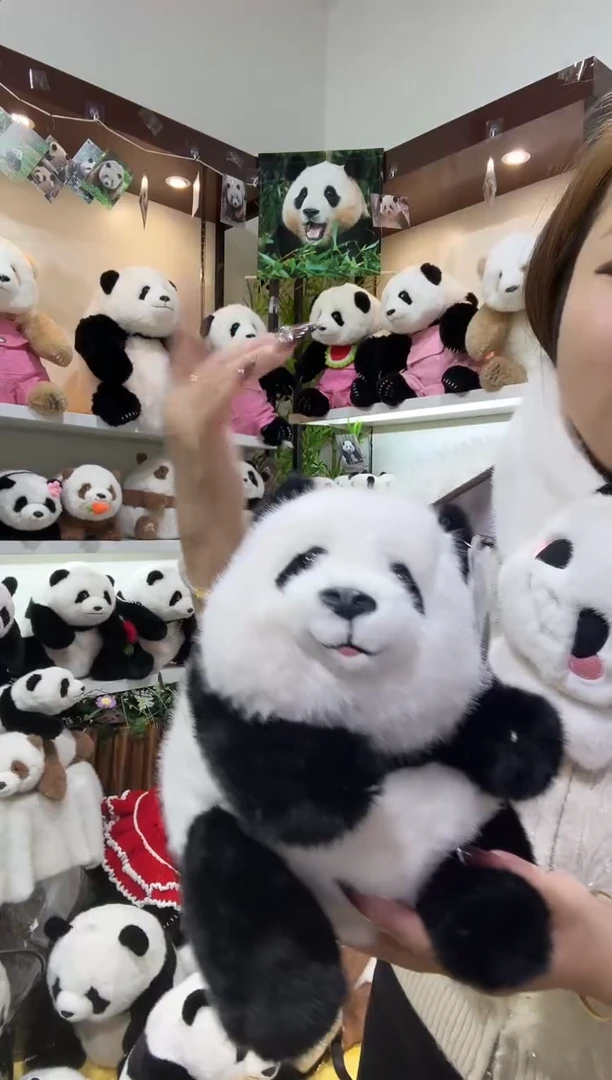 毛绒孤品C16歪头北辰