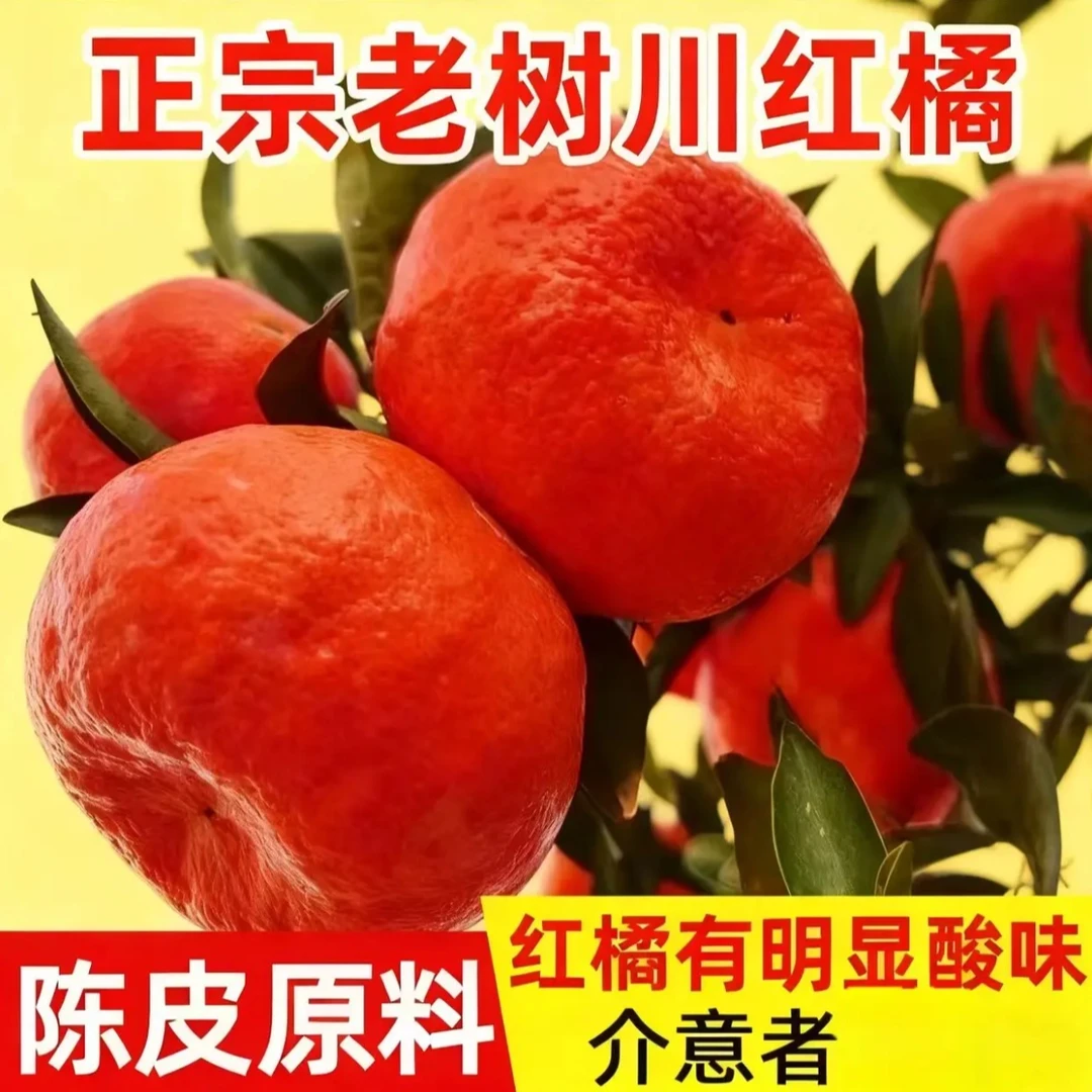 老树川红橘大红袍新鲜可做陈皮酸甜有籽当季水果