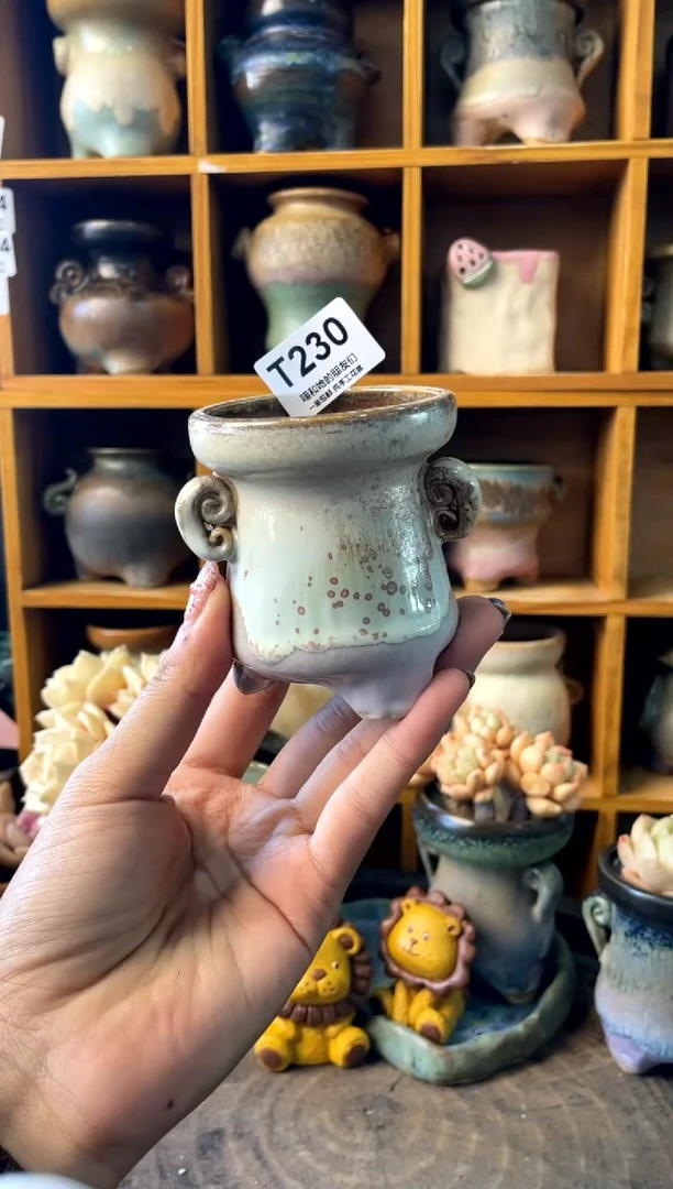 230内口5【多肉花盆多肉盆】