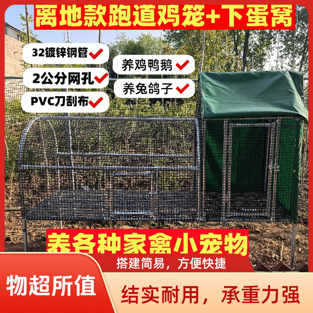 家用离地款户外鸡笼鸡跑道可养多种家禽易打扫卫生安全稳固好安装