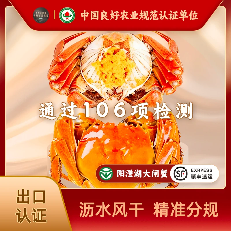 【出口精品活蟹】阳澄湖大闸蟹 全母蟹3.5两6只  活水塘养 毛氏阳澄