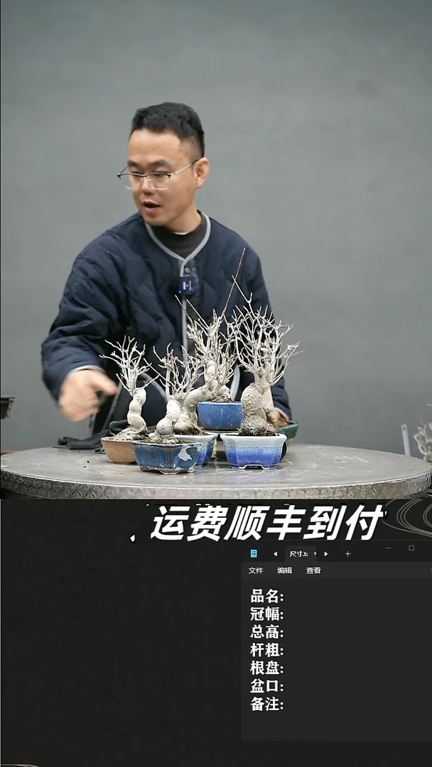 【闪购商品】116唐枫随机发货