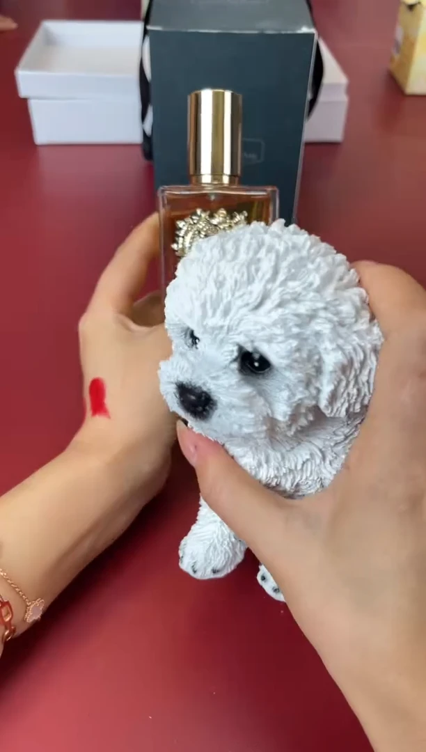 瓷片别算了真划算@@xq1789