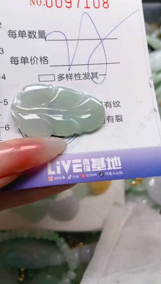 【闪购商品】翡翠颈饰未镶嵌闪购0097108