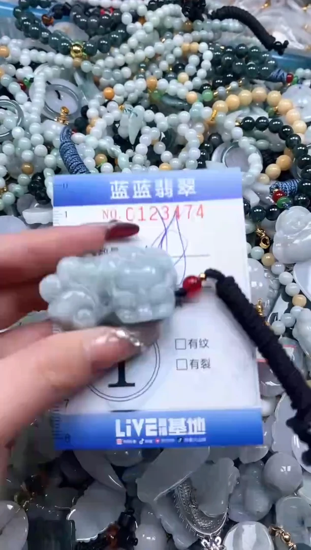 【闪购商品】翡翠颈饰未镶嵌闪购0123474多样性发其一