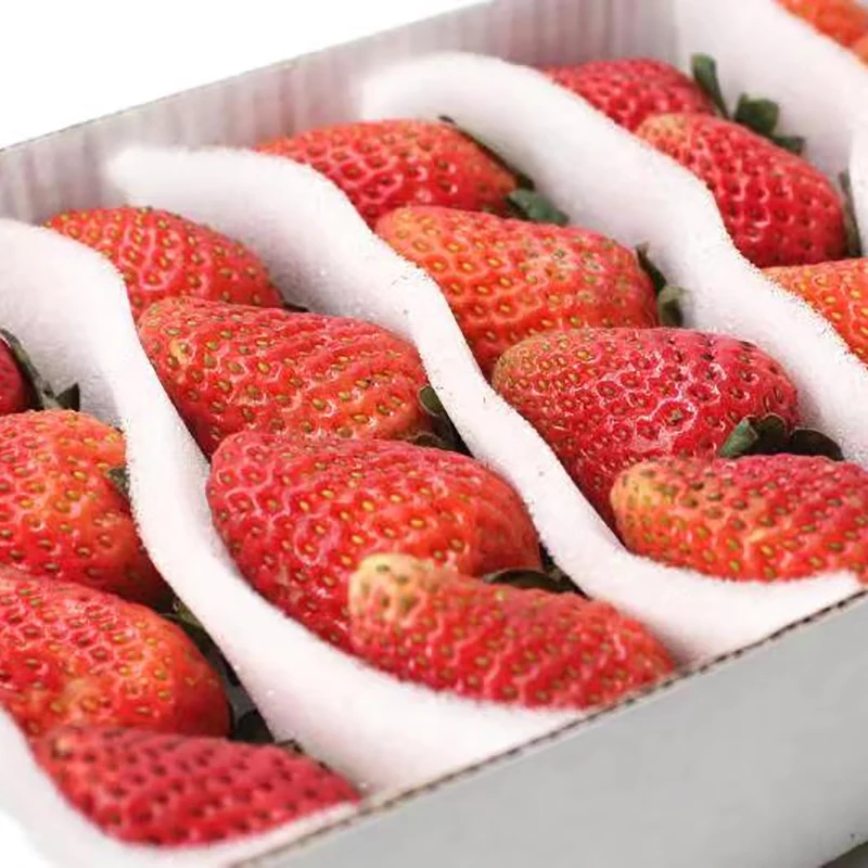 【标】新鲜草莓约500g