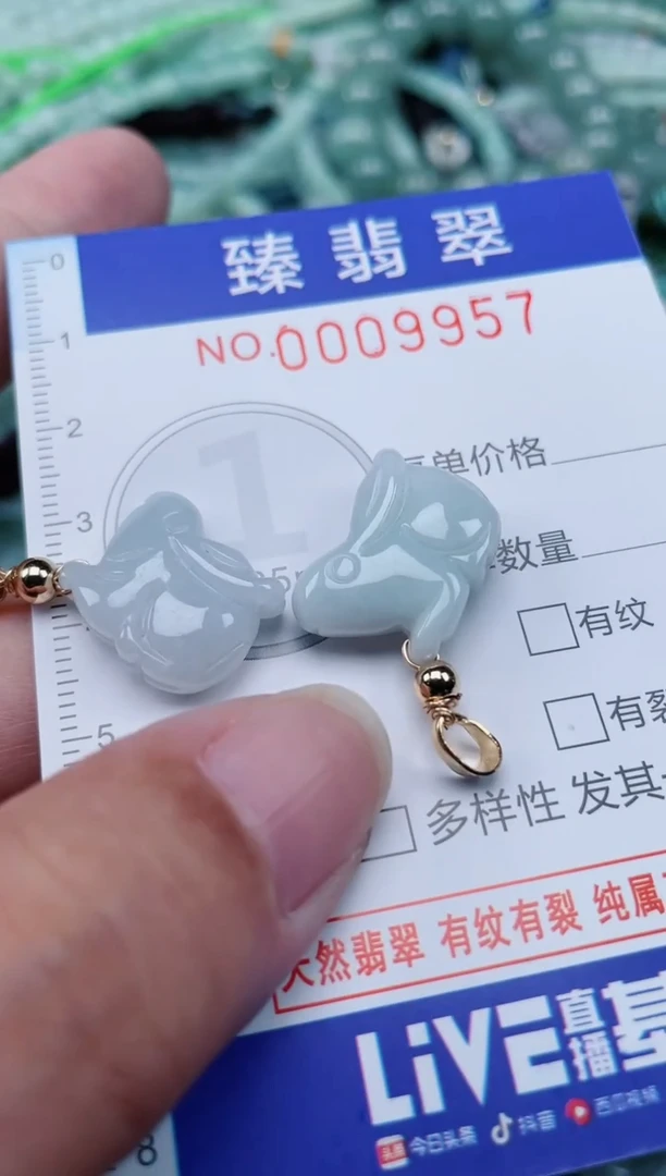 翡翠未镶嵌颈饰.0009957