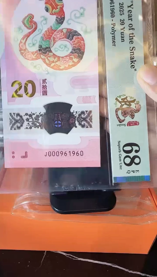 塑料2025 蛇钞 单张   啊啊啊啊啊啊