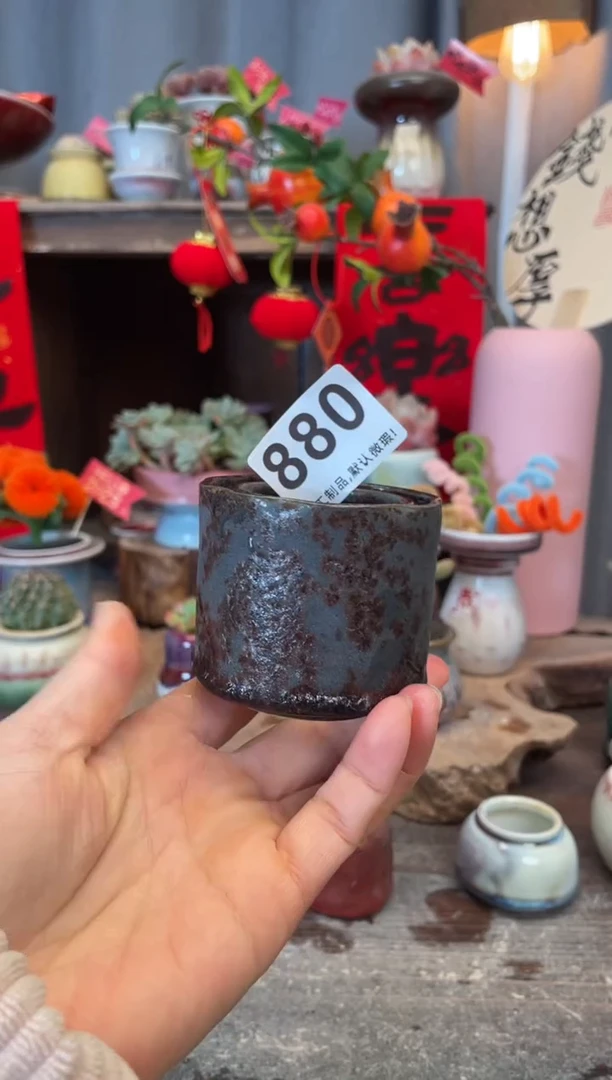 【闪购商品】摆件880知木小芳花盆